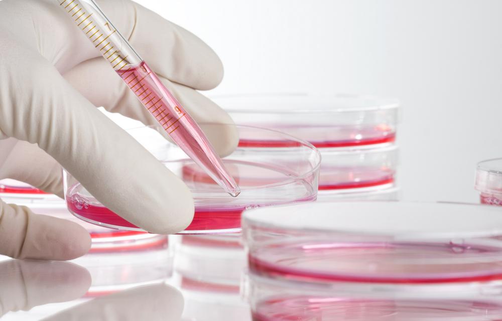 細胞與 DNA 技術示意